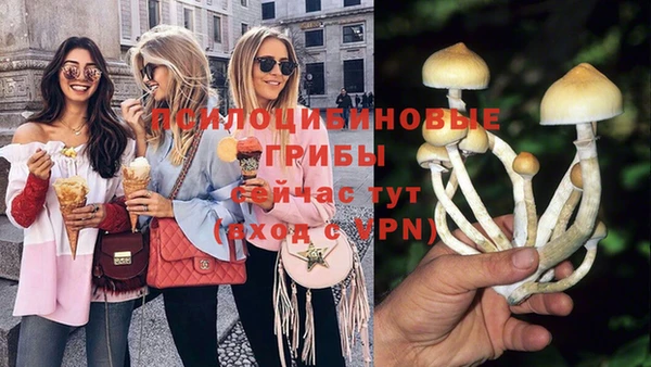 стаф Беломорск