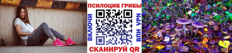 Псилоцибиновые грибы прущие грибы  Петропавловск-Камчатский 